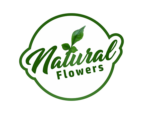 Natural Flower logo